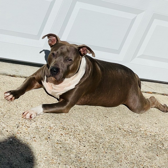 Meet your Posher, S - Picture 1 of 1